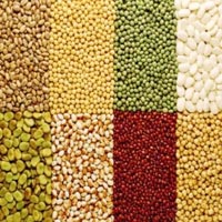 Pulses 01