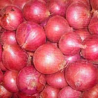 Fresh Red Onion