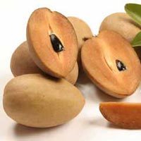 Fresh Sapodilla