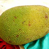 Jackfruit